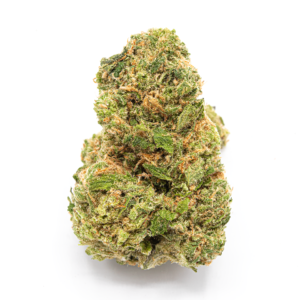  Learn About The History of The Source for our 7th Anniversary!