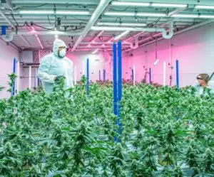  Learn About The History of The Source for our 7th Anniversary!